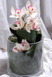 vazo ierisinde tek dal orkide iei Ankara ostim iekilik firmas rnmz