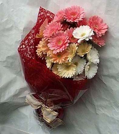 Ankara çiçekçilik görsel ürün modeli Karışık gerbera çiçekleri buketi
