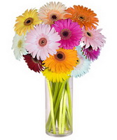 Ankara çiçekçi satışı sitemizden Cam içinde gerbera çiçekleri Ankara çiçek gönder firması şahane ürünümüz