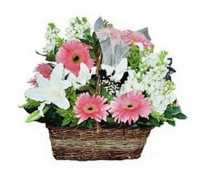 Ankara çiçek gönder firmamızdan görsel ürün karışık mevsim çiçek sepeti Ankara çiçek gönder firması şahane ürünümüz