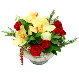 camda 5 adet gül ve 3 adet kandil orkide Ankara Ostim çiçek gönderimi firması ürünümüz 