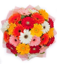 29 adet renkli gerbera buketi Ankara yurtiçi ve yurtdışı çiçek siparişi