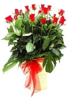 Vazoda 17 adet kırmızı gül Ankara online çiçek gönderme sipariş